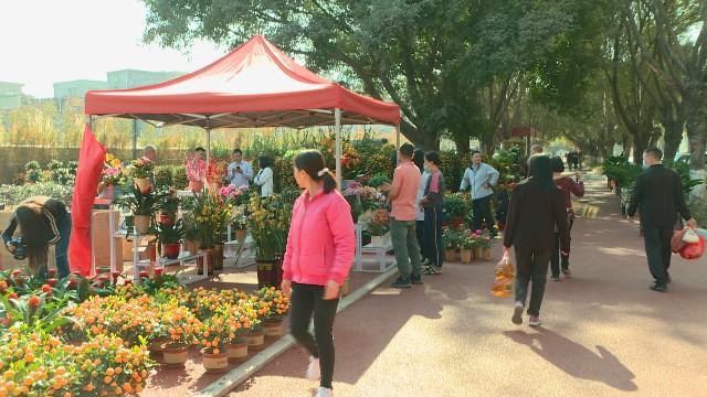 0208年花市場(chǎng)_2021-02-09_09-50-28.jpg