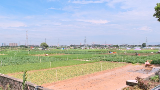 0811菜農(nóng)抓緊時機復(fù)耕復(fù)產(chǎn)_2021-08-11_15-55-51.jpg