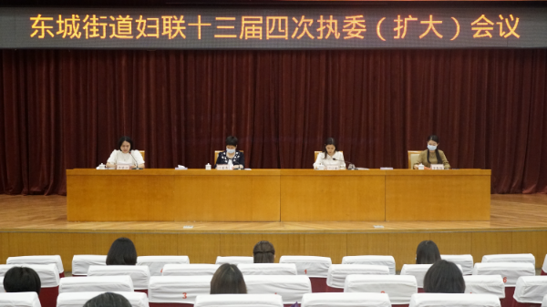 東城街道婦聯(lián)26：巾幗爭先 勇毅前行——東城街道婦聯(lián)召開十三屆四次執(zhí)委（擴(kuò)大）會(huì)議 (3).JPG