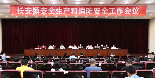大景 麥偉強 攝宇調_結果.jpg