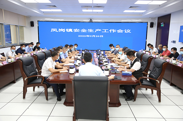 0920鳳崗鎮(zhèn)迅速貫徹落實(shí)省市安全生產(chǎn)工作會(huì)議精神（第139期）圖2.jpg