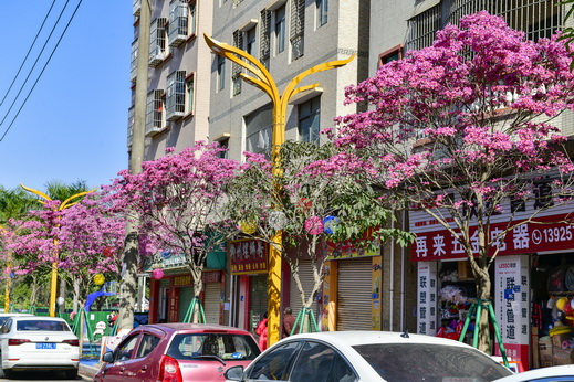 3_縮小大小.JPG