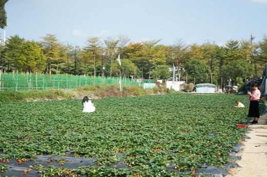 7_縮小大小.jpg