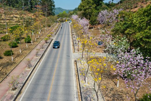 DJI_0145_結(jié)果.jpg