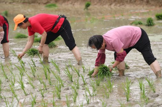 麥偉強攝 (4)_結果.jpg