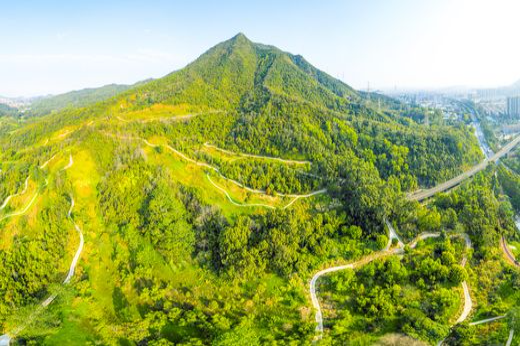 占有兵攝_結(jié)果.jpg