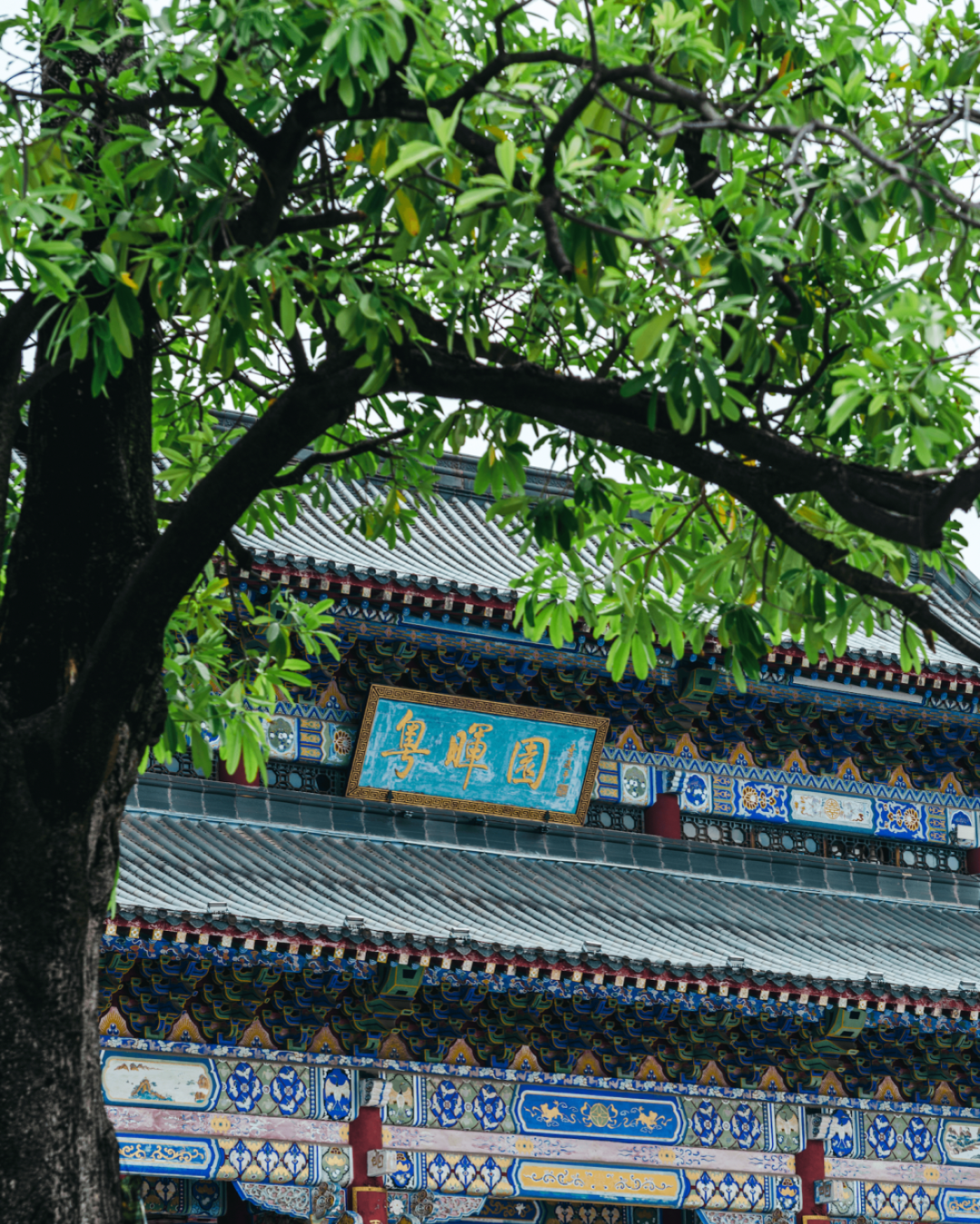 微信圖片_20231007090909.png