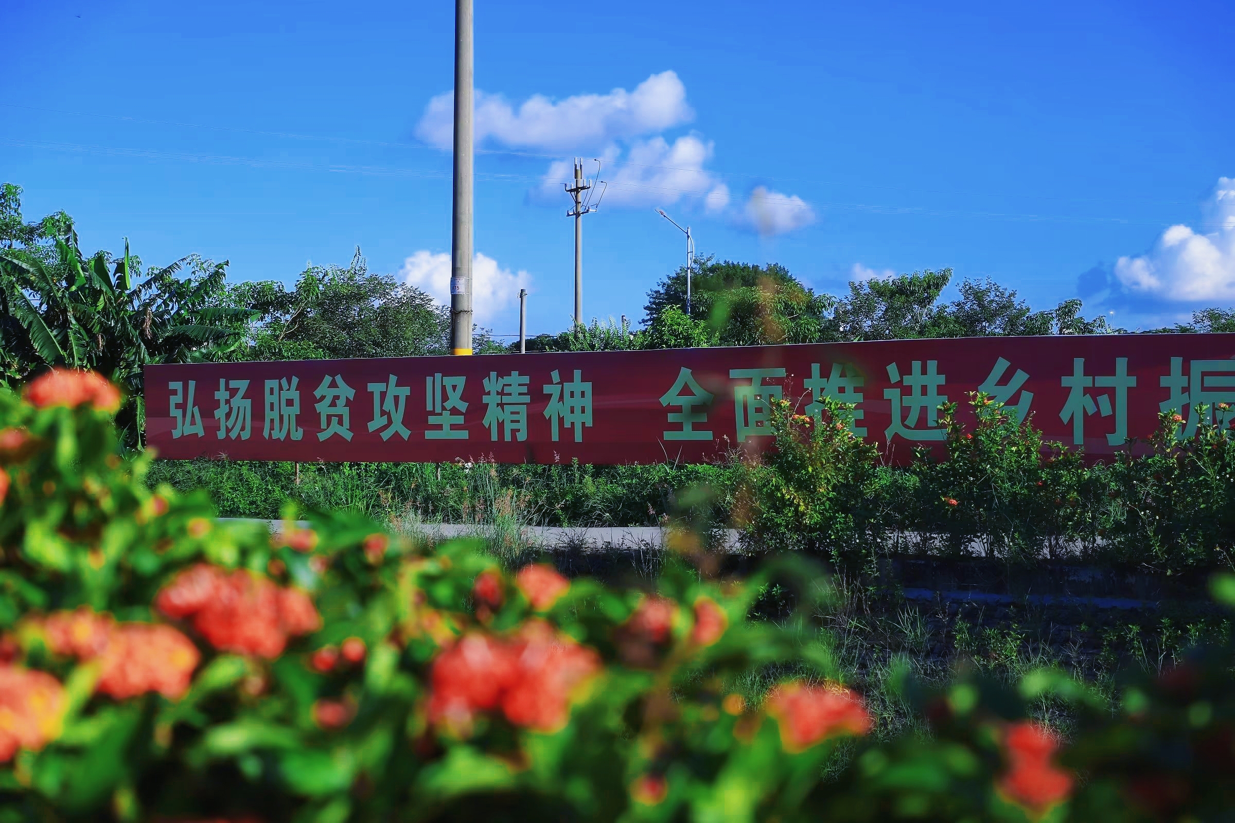 retouch_2022090519520443.jpg