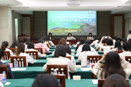 長安鎮(zhèn)黨委委員、鎮(zhèn)婦聯(lián)主席李燕琴參加會議 麥偉強攝_結果.jpg