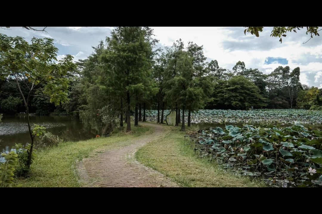 微信圖片_20241201105347.jpg