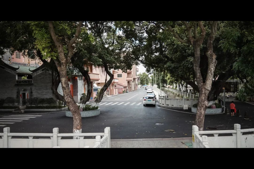 微信圖片_20241201105400.jpg