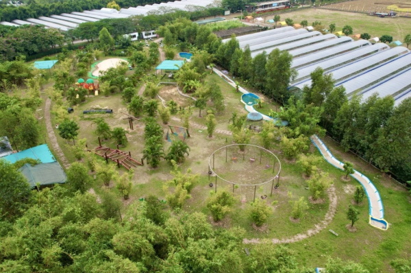 1 10.jpg