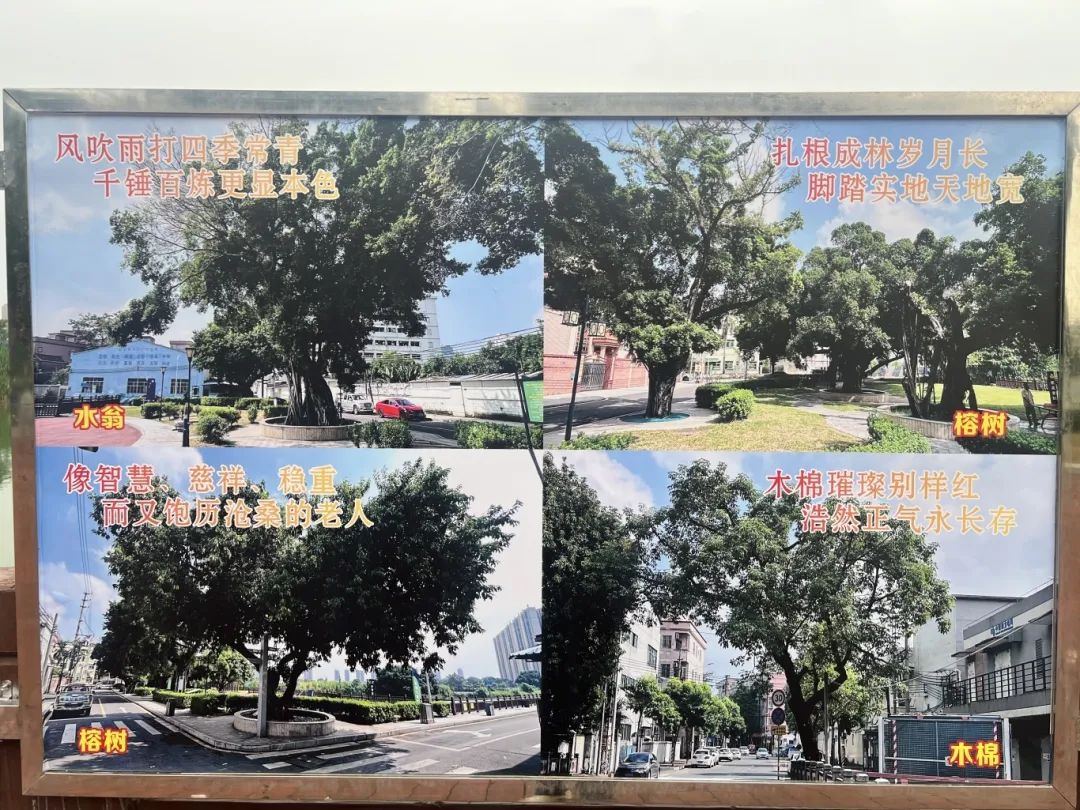 微信圖片_20250110141507.jpg