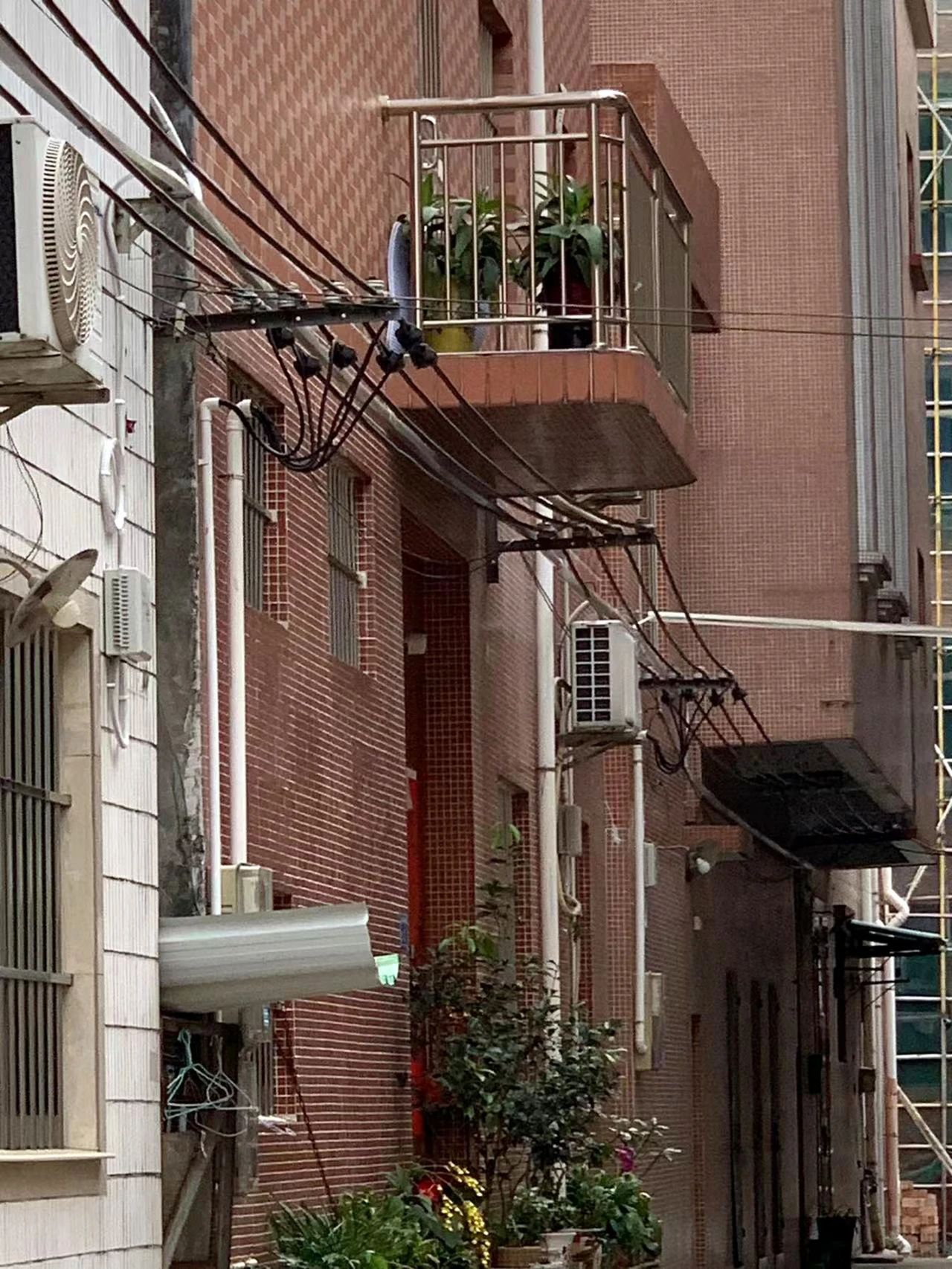 微信圖片_20250111113704.jpg