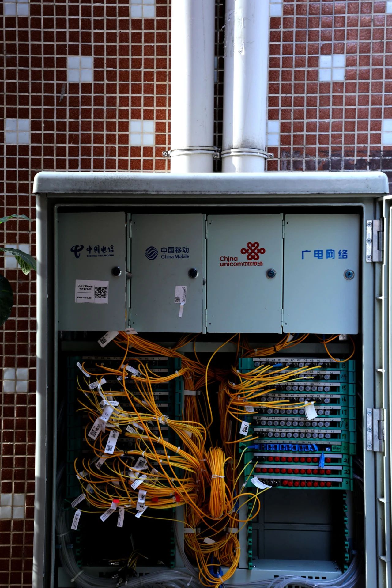 微信圖片_20250111113927.jpg
