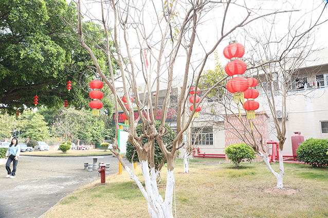 IMG_9994_副本.jpg