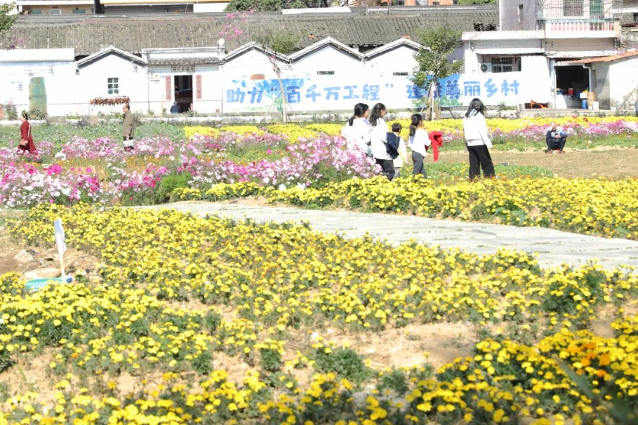 微信圖片_20250203094134.jpg