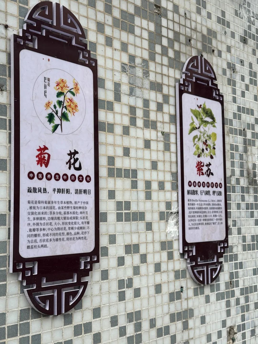 微信圖片_20250207150512.jpg