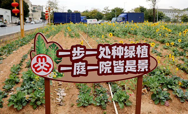 0M7A6185_副本.jpg