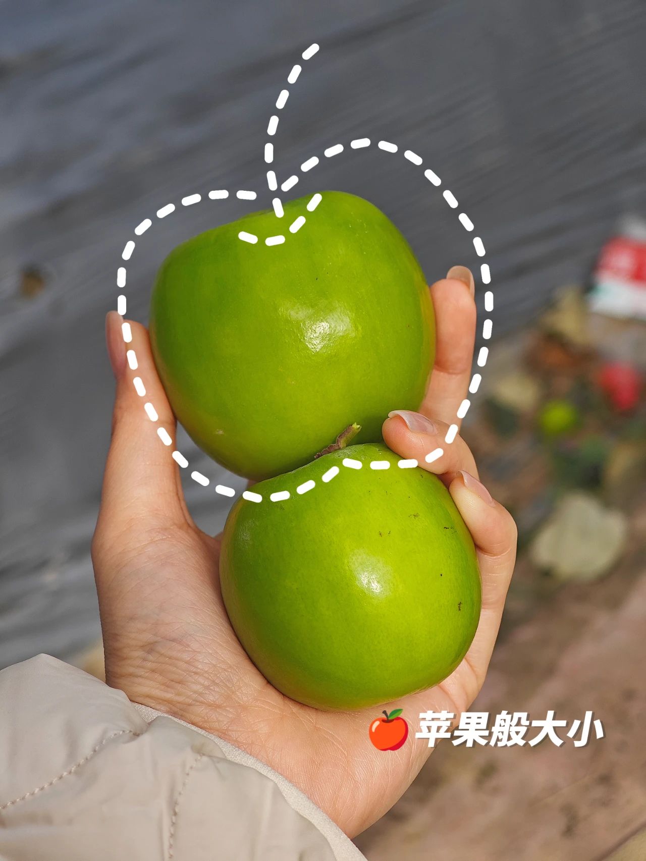 微信圖片_20250217140213.jpg