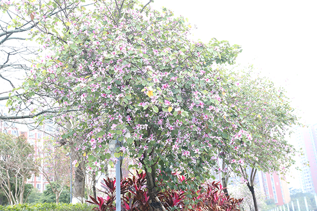 IMG_2683_副本.jpg