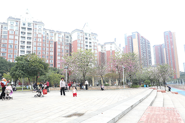 IMG_2693_副本.jpg