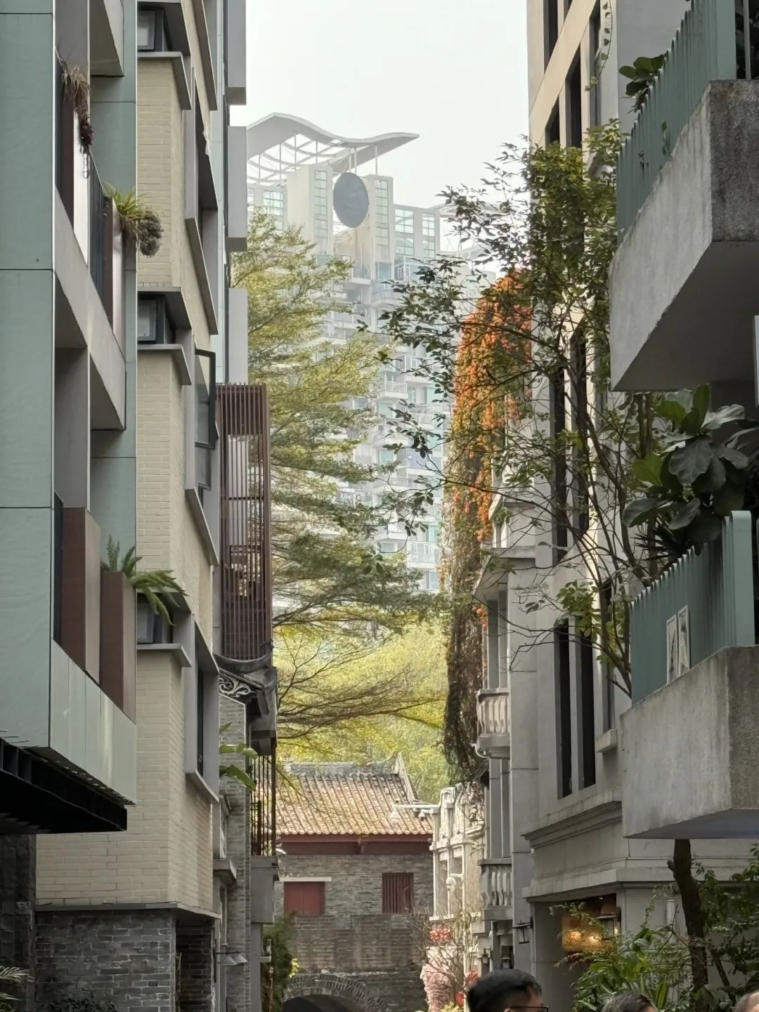 微信圖片_20250227170607.jpg