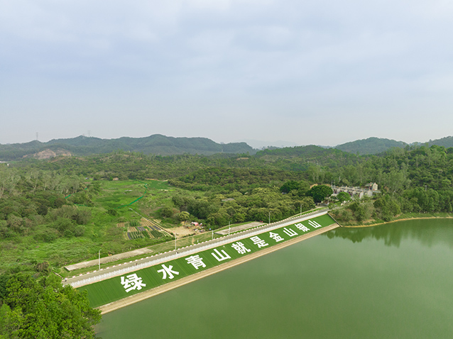 DJI_0126.jpg