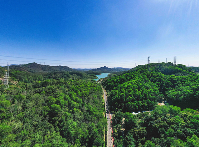 DJI_0560.jpg