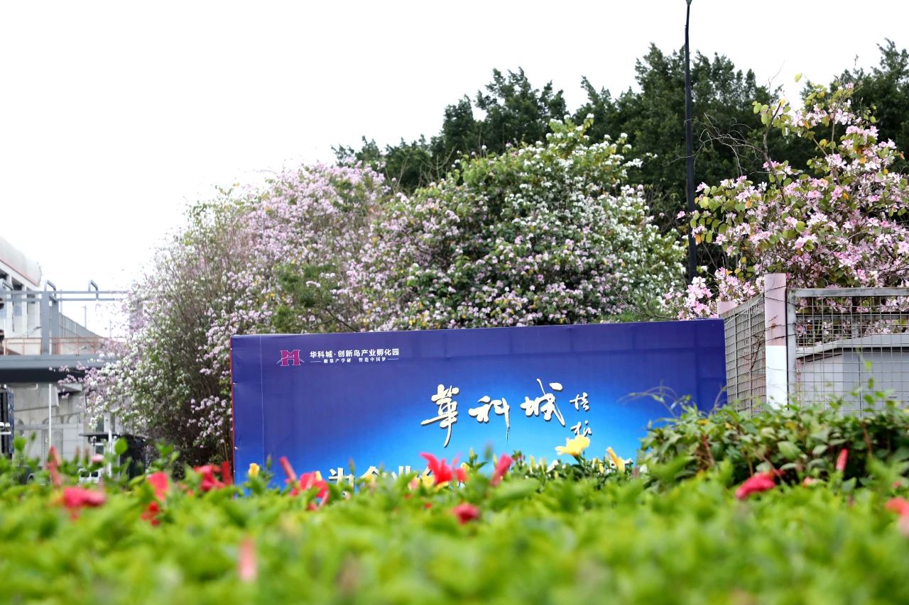 微信圖片_20250321083315.jpg