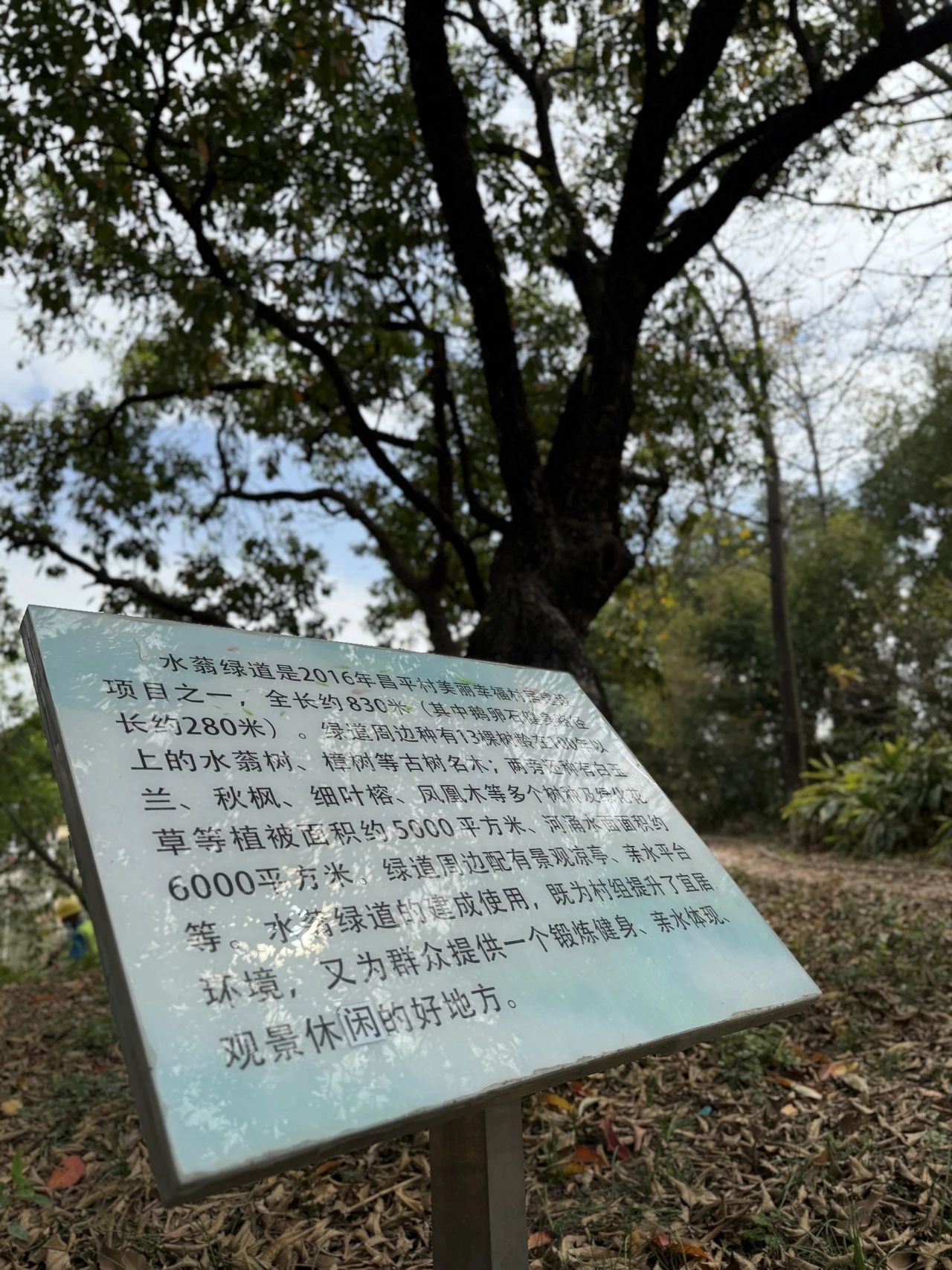 微信圖片_20250324144011.jpg