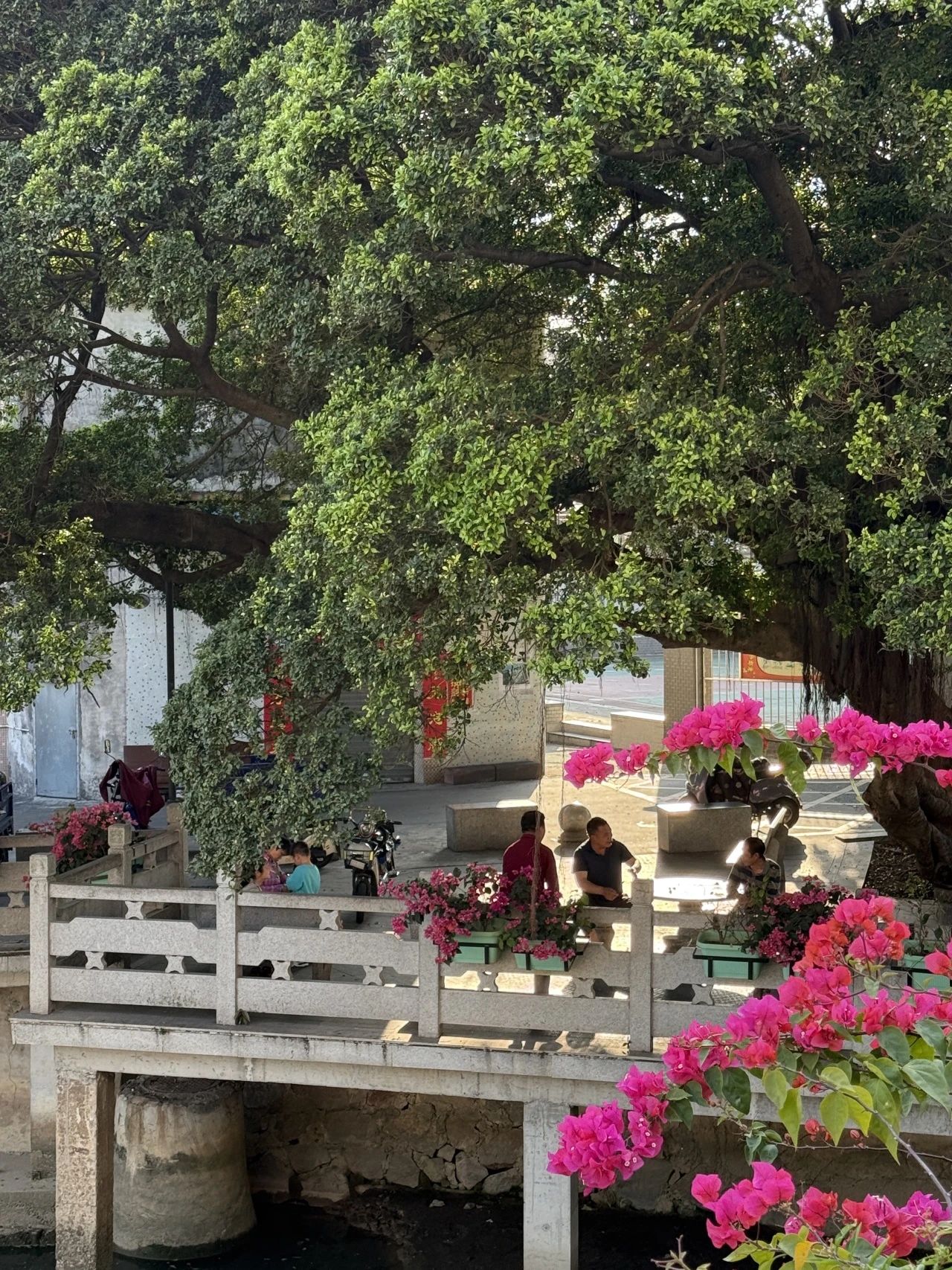 微信圖片_20250324144328.jpg