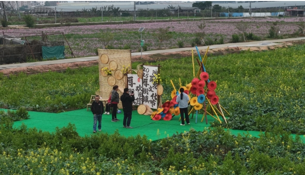 花期已至,！厚街油菜花海等你來欣賞.jpg