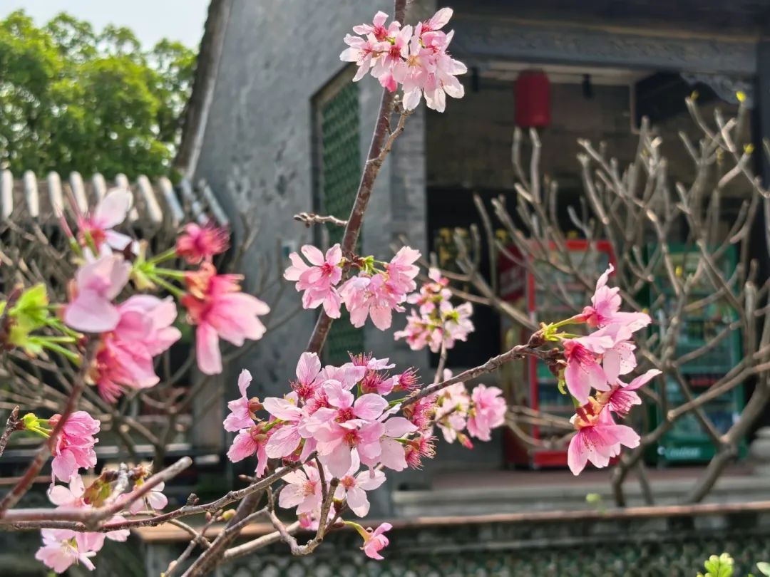 微信圖片_20250409111802.jpg