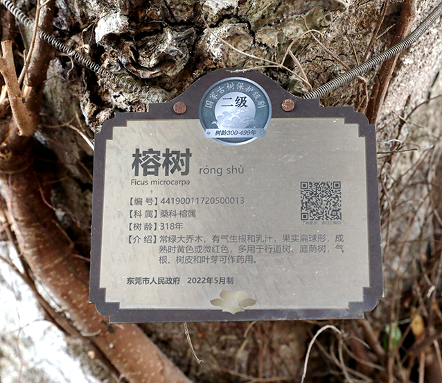 IMG_5277_副本.jpg