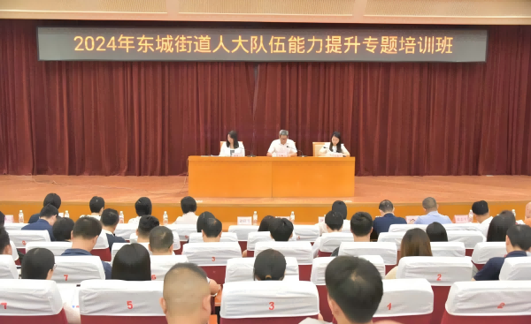 東城召開2025年組織工作會議