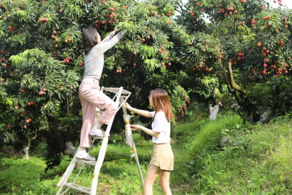 微信圖片_2025-05-29_111736_739.png