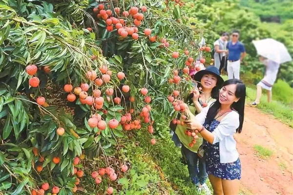 微信圖片_2025-05-29_111742_315.png