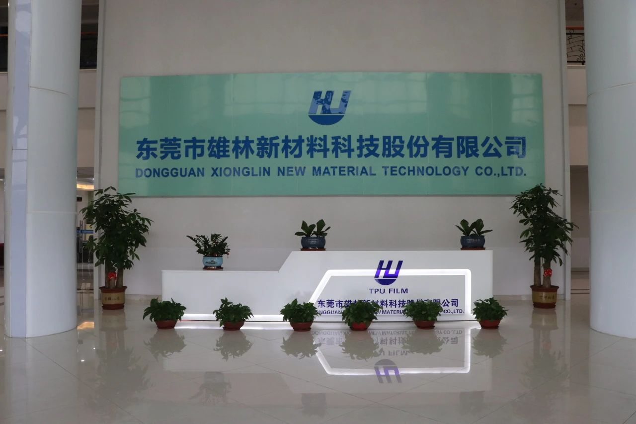 微信圖片_20250613151846.jpg