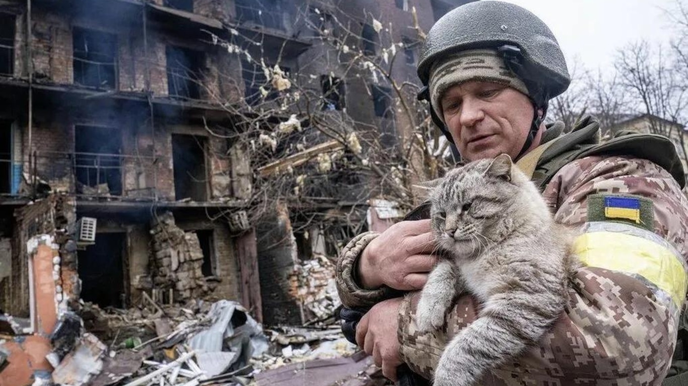 Animal Rescue During Global Conflicts